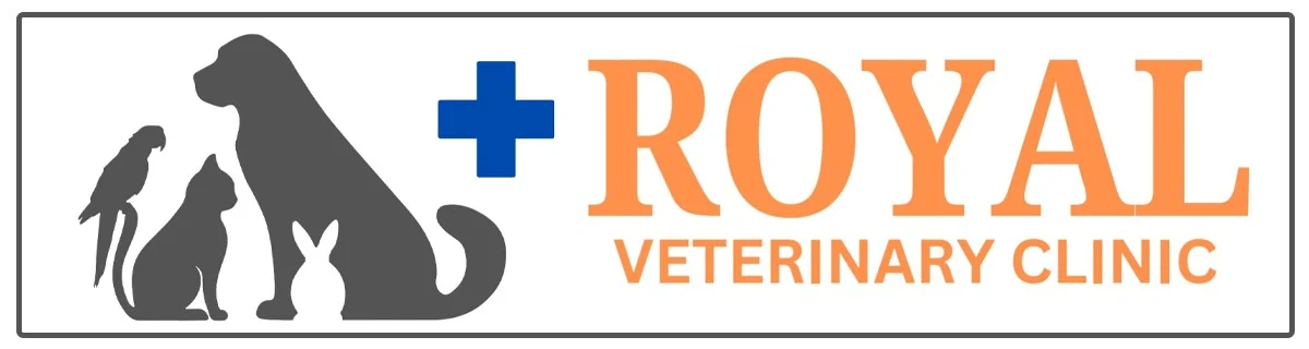 VET CLINIC